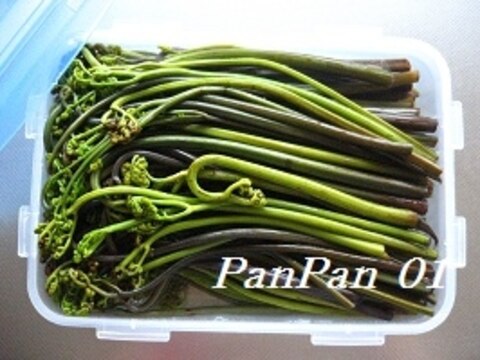 タンサン 重曹 でワラビアク抜き法 レシピ 作り方 By Panpan01 楽天レシピ タンサン 重曹 でワラビアク抜き法 レシピ 作り方 By Panpan01 楽天レシピ